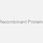 FAM3C Recombinant Protein (Mouse)